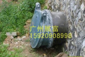 DLH44X-6FRP拍門
